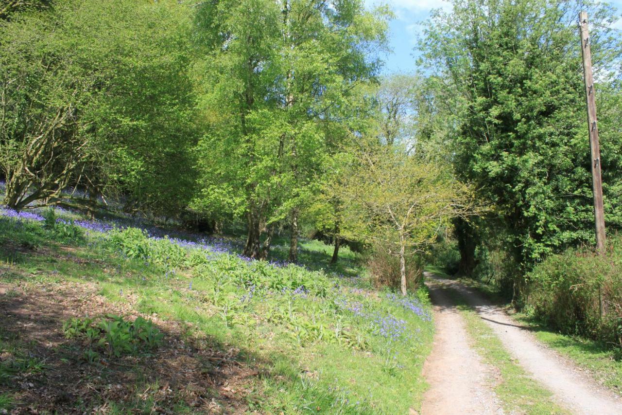 Church Hill Farm 몬머스 외부 사진